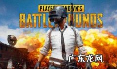 和平精英有哪些玩家名称 和平精英有哪些玩家名称可以改