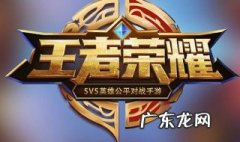 王者荣耀什么英雄大招没有伤害的 王者荣耀什么英雄大招没有伤害