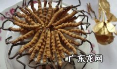 新鲜冬虫草怎么做 新鲜冬虫草怎么吃最好
