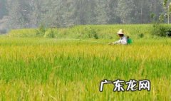 闰四月北方有啥讲究 闰四月北方有啥讲究没