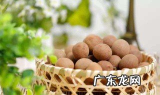 桂圆干能怎么吃 桂圆干怎么吃补血效果最好