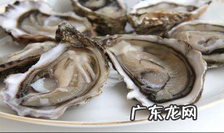 没打开的生蚝怎么保存最新鲜 未开生蚝怎么吃