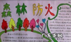 森林防火手抄报图片 森林防火手抄报