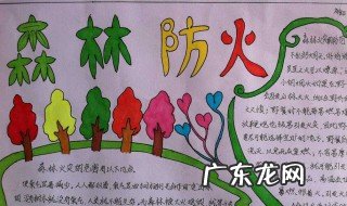 森林防火手抄报图片 森林防火手抄报