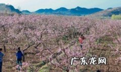 4月好不好 闫四月可有什么讲究