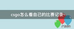 csgo如何看自己的比赛记录 csgo怎么看自己的比赛记录