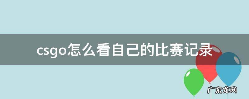 csgo如何看自己的比赛记录 csgo怎么看自己的比赛记录
