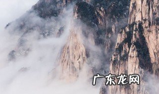徐悲鸿擅长画什么 张大千擅长画什么