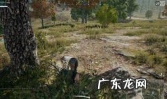 吃鸡怎么看掉没掉分 吃鸡怎么看上分还差几分