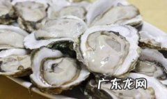 生蚝和牡蛎有什么区别 生蚝和牡蛎有什么区别图