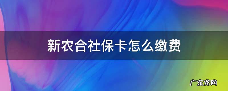 新农合社保卡怎么缴费 社保卡怎么交新农合医保