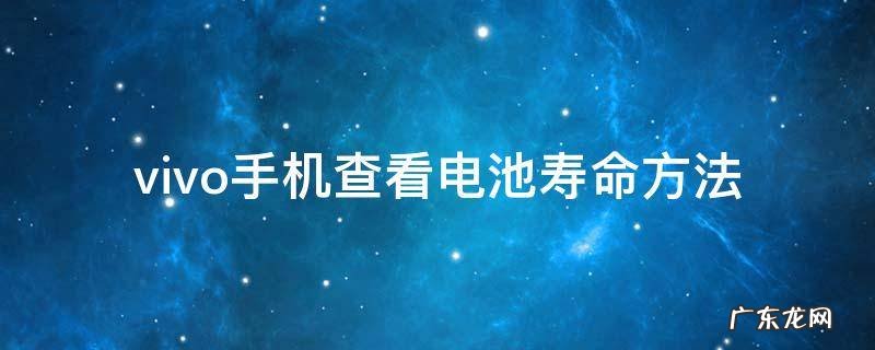 vivo手机查看电池寿命方法 VIVO手机怎么看电池寿命