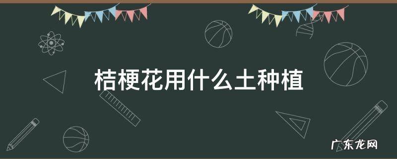 桔梗花种怎么种 桔梗花用什么土种植