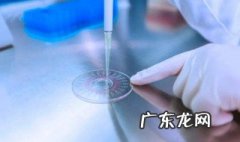 核酸是怎么去检查的 核酸检测是怎么检测的呀