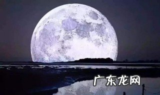 从今夜白月是故乡明的作者是谁 月是故乡明的作者是谁