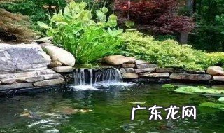 院子挖水池有什么讲究 院子挖水池有什么讲究没