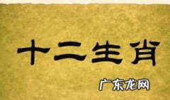 十二生肖的来历视频故事 十二生肖的来历