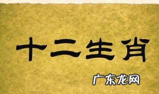 十二生肖的来历视频故事 十二生肖的来历
