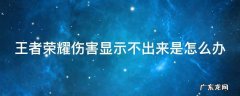 王者荣耀伤害显示不出来是怎么办 王者荣耀伤害显示不出来是怎么回事