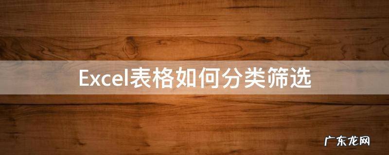 Excel表格如何分类筛选 excel表格如何分类筛选求和