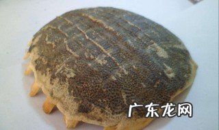 鳖甲的功效与作用