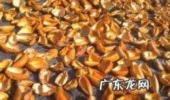 瓜蒌皮的功效与作用 瓜蒌皮的功效与作用图片