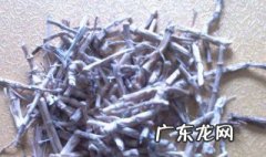 茅根的功效与作用 茅根的功效与作用点