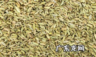 茴香的功效与作用 茴香的功效与作用禁忌