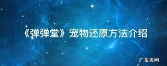 《弹弹堂》宠物还原方法介绍 弹弹堂宠物还原和放生