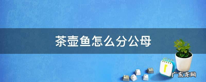 甲鱼怎么分公母 茶壶鱼怎么分公母