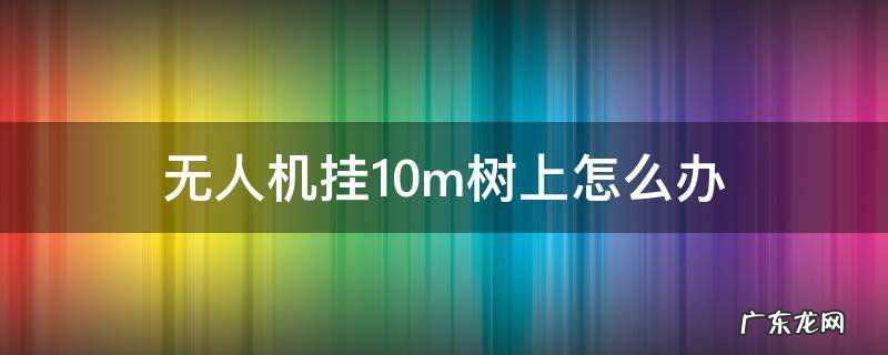 无人机挂10m树上怎么办 无人机卡在树上