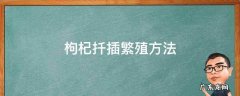 枸杞扦插繁殖方法 枸杞子可以扦插繁殖