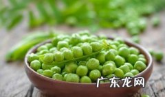 豌豆的功效与作用及营养价值 豌豆的功效与作用