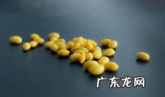 大豆卵磷脂的功效与作用 大豆卵磷脂的功效与作用点