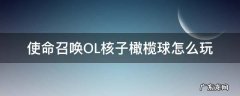 使命召唤OL核子橄榄球怎么玩 使命召唤ol核弹怎么弄