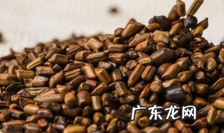决明子的作用与功效 决明子的作用与功效与禁忌