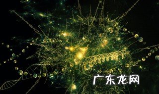 蛋白质的作用与功效 蛋白质的作用