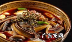 鳝鱼属什么动物类 鳝鱼属什么动物