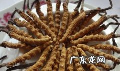 冬虫夏草怎么做好吃又简单窍门 冬虫夏草怎么做好吃又简单