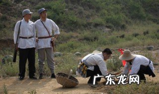 地雷战讲的是什么故事 地雷战讲述了什么