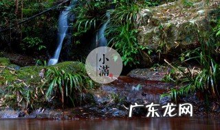 二十四节气中的小满是几月几日 二十四节气中的小满什么意思