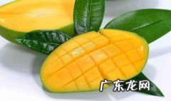 怎么种大青芒种子呢 怎么种大青芒种子