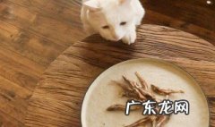 怎么炸小鱼干给猫吃 怎么炸小鱼干给猫吃视频