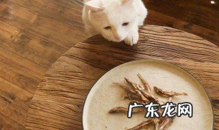 怎么炸小鱼干给猫吃 怎么炸小鱼干给猫吃视频