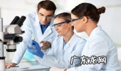 紫色石蕊遇碱遇酸颜色变化 紫色石蕊遇碱变什么颜色