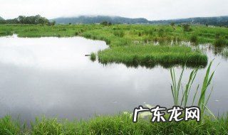 世界上最大的湿地是哪个城市 世界上最大的湿地是哪个