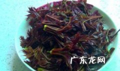 香椿小孩吃好吗 儿童吃香椿怎么做好吃