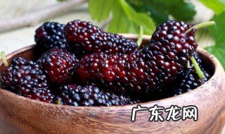 怎么吃桑葚才能不脏手 怎么吃桑葚才能不脏手呢