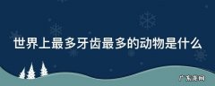 世界上最多牙齿最多的动物是什么 世界上最多牙齿最多的动物是什么?
