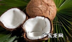 椰子肉很老怎么吃才好吃 椰子肉很老怎么吃